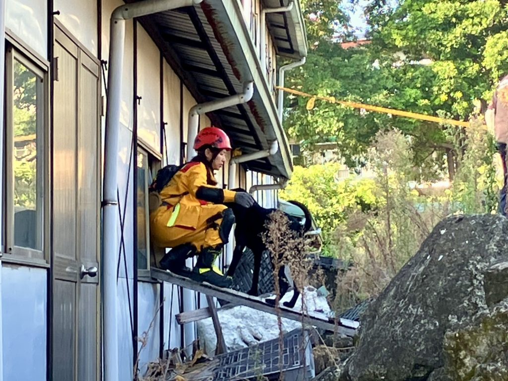 S__461160484_0 - 報新聞 Mega News