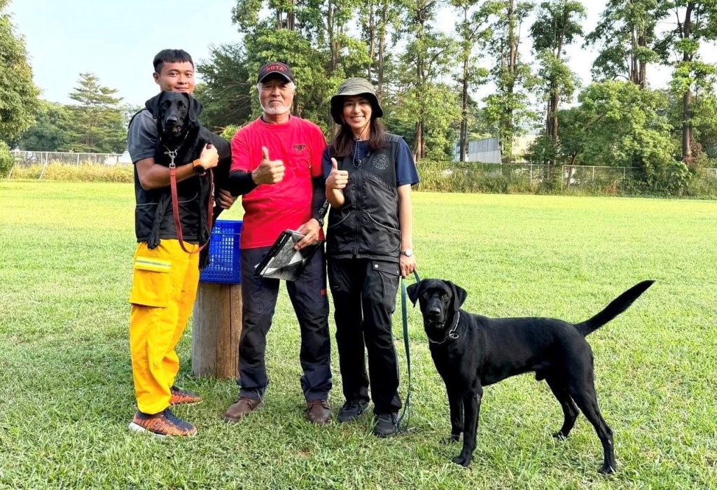 S__461160489_0 - 報新聞 Mega News