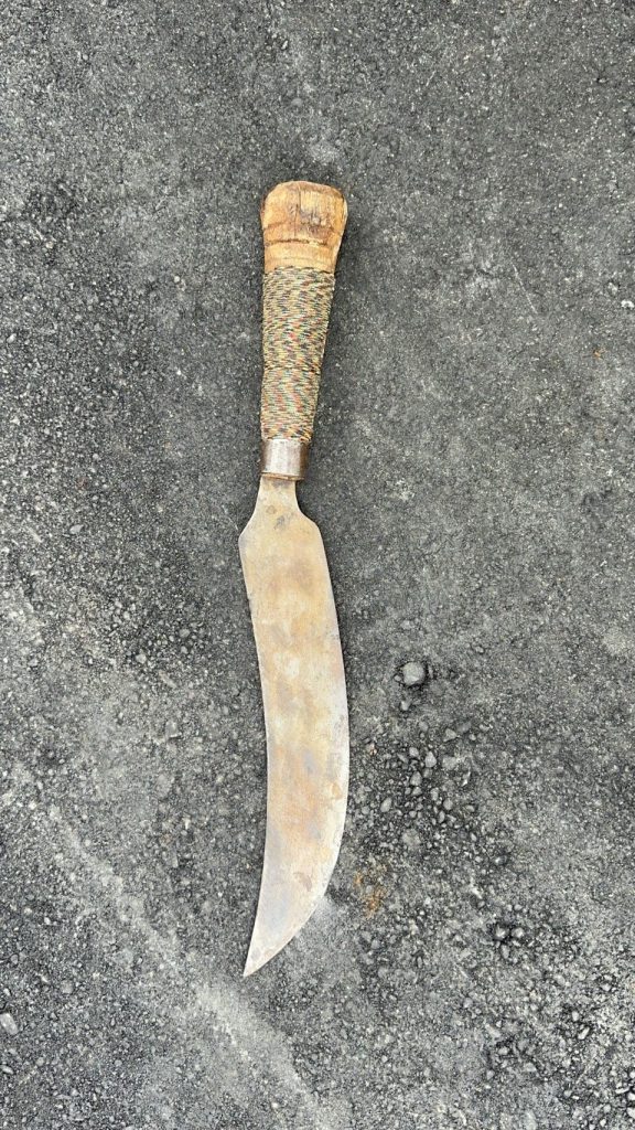 S__487407640 - 報新聞 Mega News