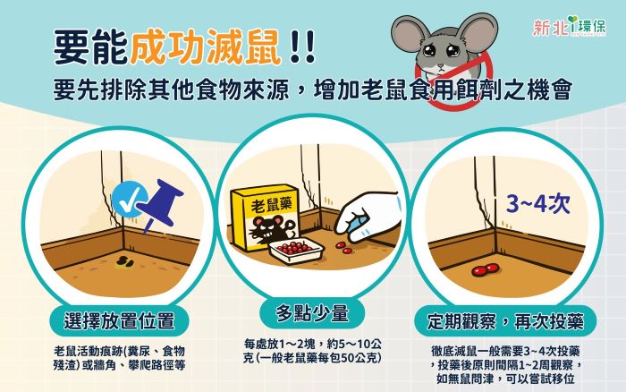 《圖說》民眾若於居家或社區發現老鼠蹤跡,可視情況使用殺鼠劑,並掌握「靠牆放、多點少量、持續觀察」三大原則。〈環保局提供〉