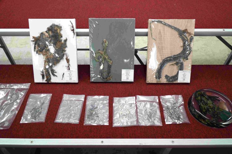 《圖說》動物標本展示。〈農業局提供〉
