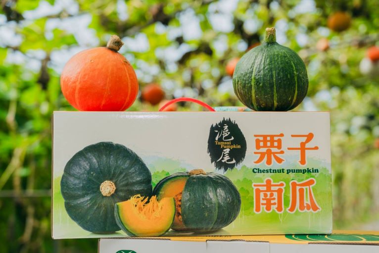 《圖說》淡水農會超市推出栗子南瓜禮盒早鳥預訂優惠活動。〈農業局提供〉
